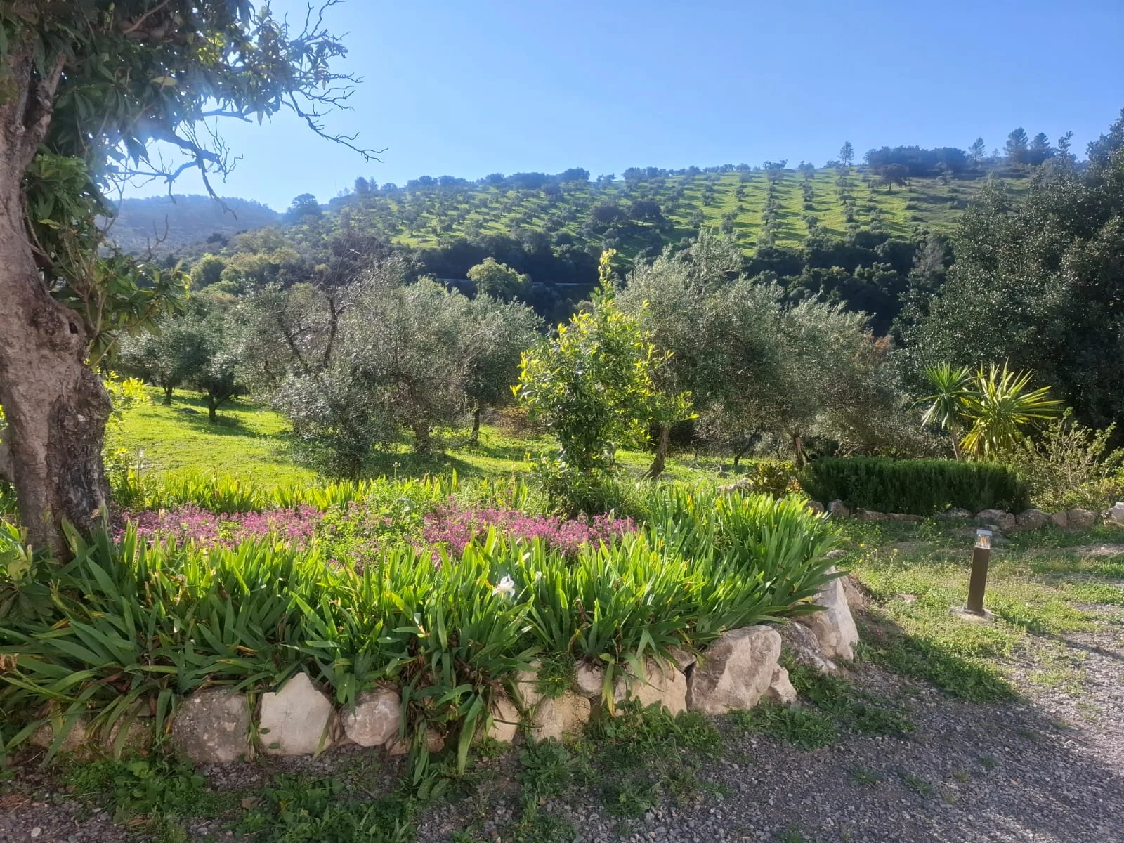 Entrada Cuerpo Principal.jpg